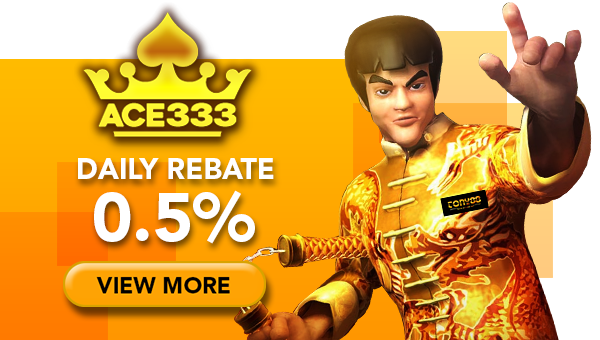 ACE333 Slot Games Daily Rebate 0.5%